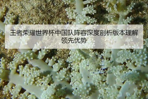 wang-zhe-rong-yao-shi-jie-bei-zhong-guo-dui-zhen-rong-shen-du-pou-xi-ban-ben-li-jie-ling-xian-you-shi-2-109.jpg