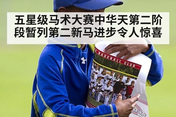 五星级马术大赛中华天第二阶段暂列第二新马进步令人惊喜
